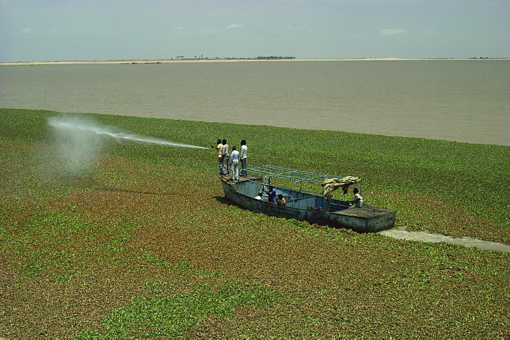 Spraying to eradicate water hyacinth at dam, Jebel Aulia, Sudan, Africa