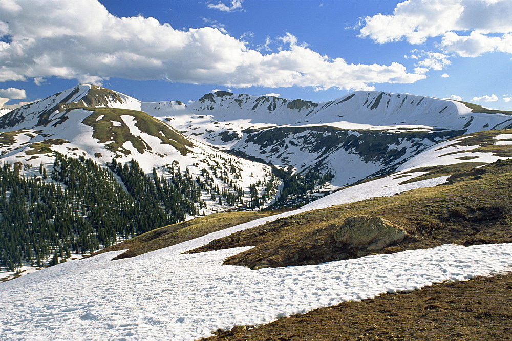 Snowy landscape in June, at Independence Pass, elevation 12095 ft, in the Sawatch Mountains, part of the Rockies, in Aspen, Colorado, United States of America, North America