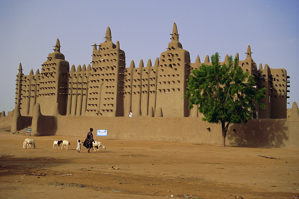 The Great Mosque, the largest dried earth building in the world, a UNESCO World Heritage site, Djenne, Mali, Africa