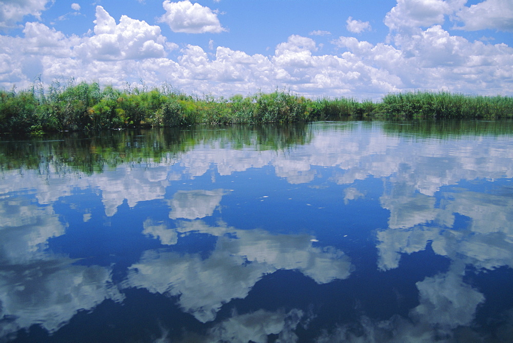 Okavango Delta, Botswana, Africa