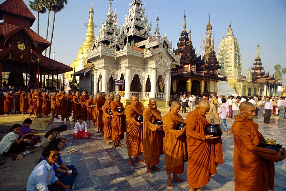 Line of monks in procession, Shwe Dagon Pagoda Complex, Yangon (Rangoon), Myanmar (Burma), Asia