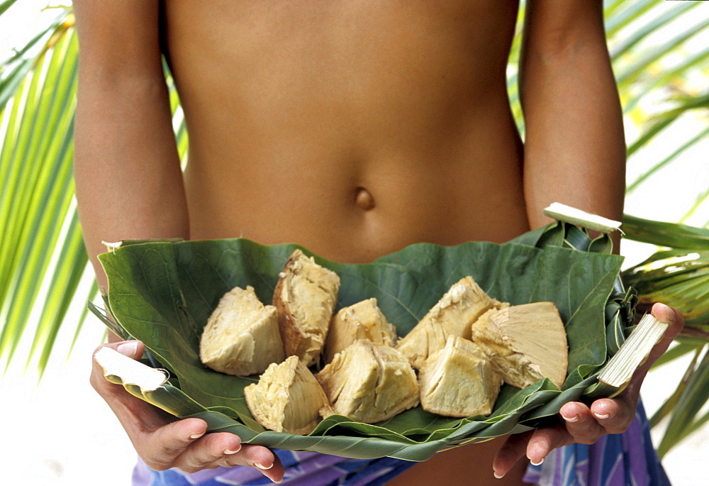 Bread Fruit