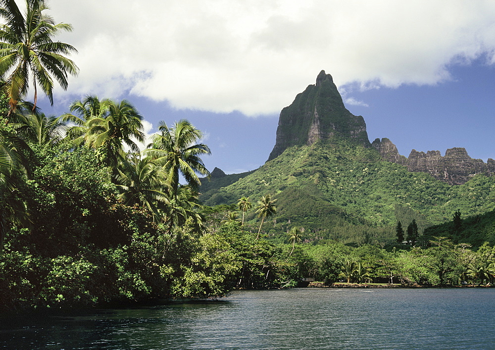 Moorea, Society Islands, French Polynesia, South Pacific, Pacific