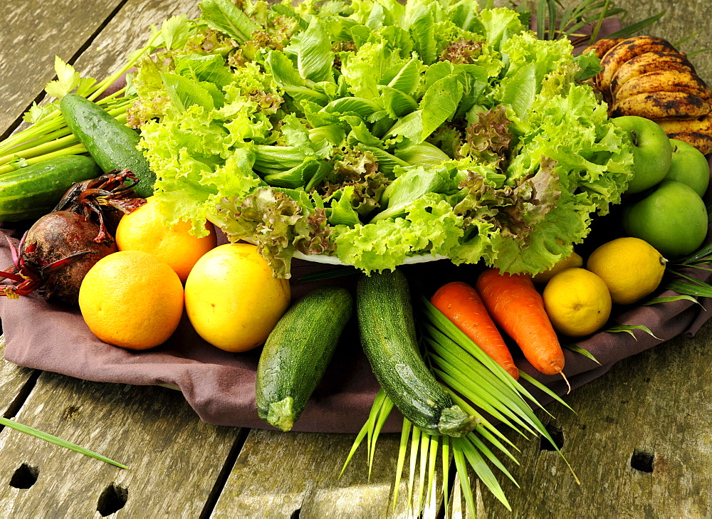 Organic vegetables at The Farm Health and Spa Resort in Batangas, Philippines, Southeast Asia, Asia