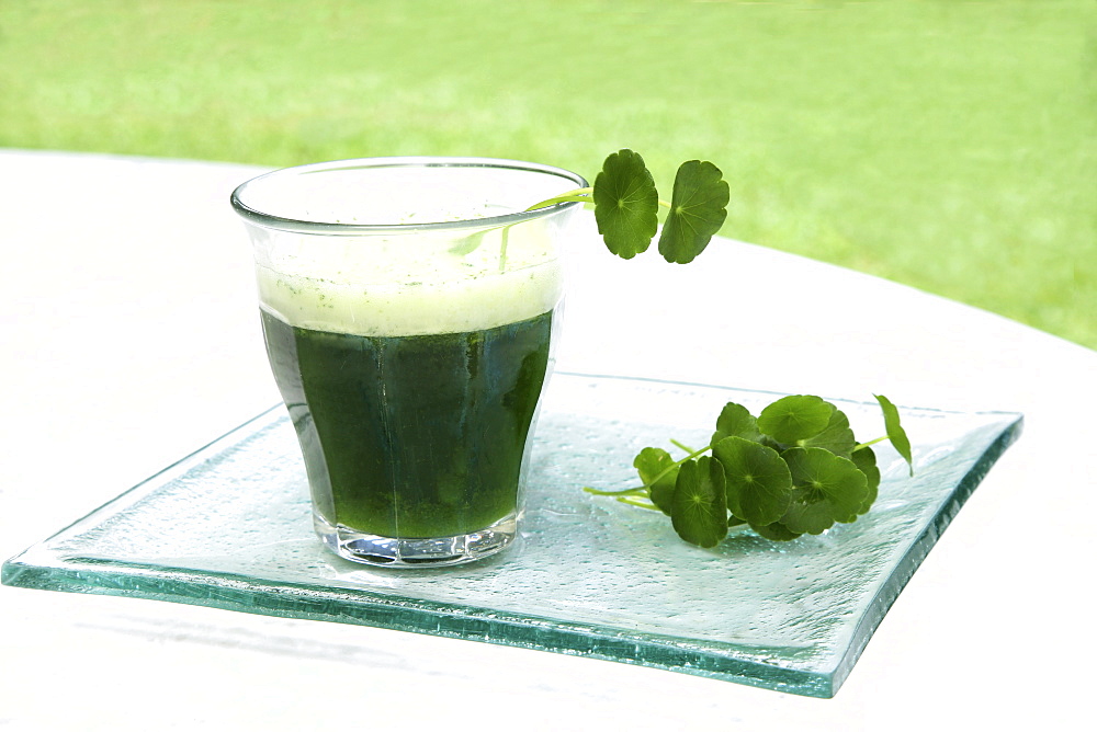 Brahmi leaves (Centella Asiatica) and a drink made from it used for abdominal disorders