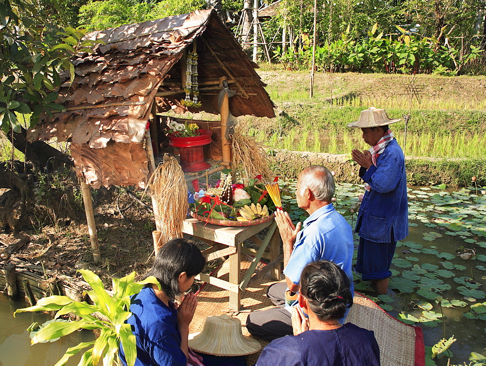 Thai Spirithouse in the middle of rice fields, Thailand, Southeast Asia, Asia