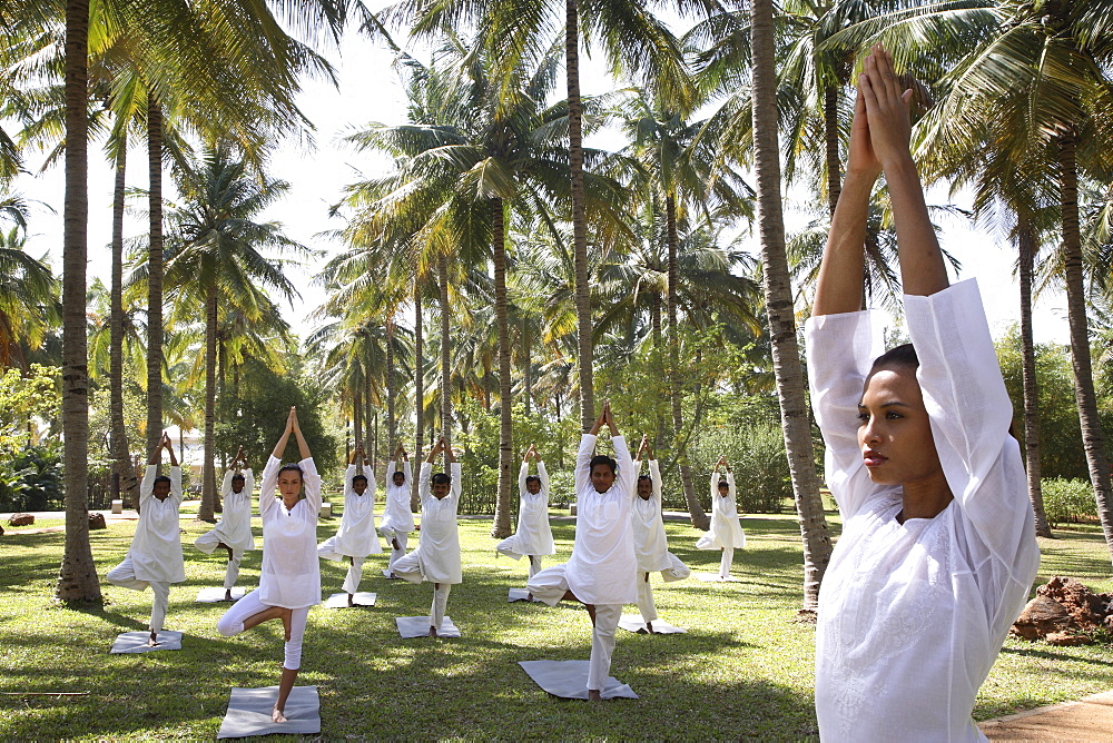 Group yoga session on the lawn at the Shreyas Retreat 