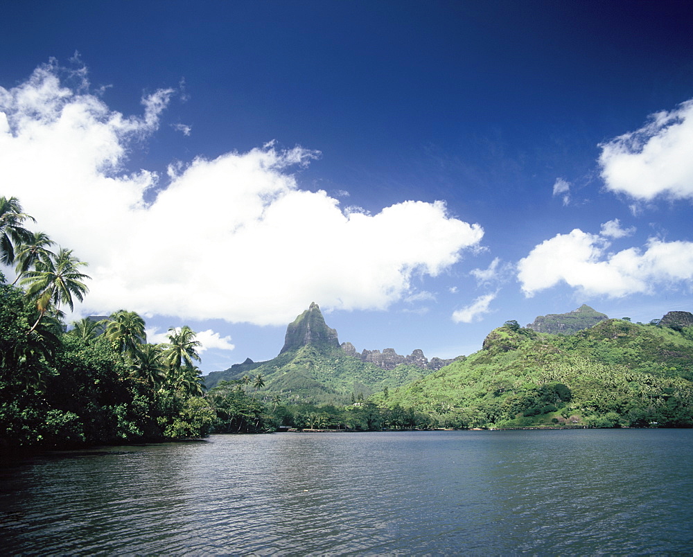 Cook's Bay, Moorea, Society Islands, French Polynesia, South Pacific, Pacific