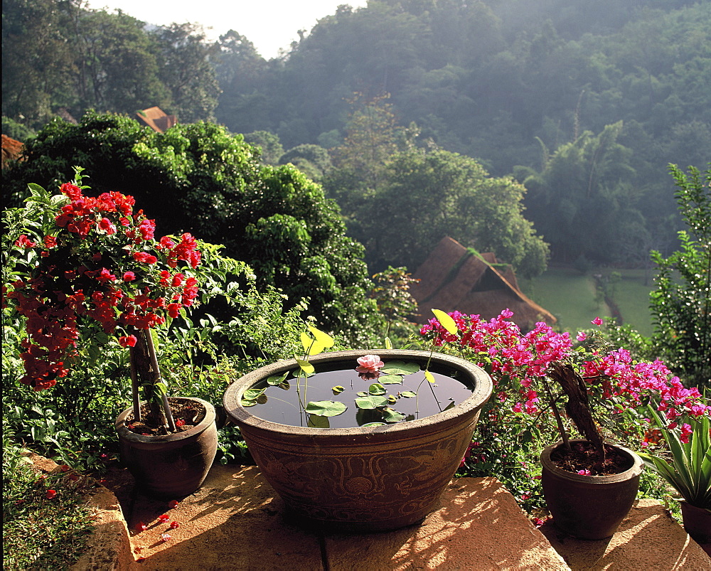 Recreational gardens in Mae Sa valley near Chiang Mai, Thailand, Southeast Asia, Asia