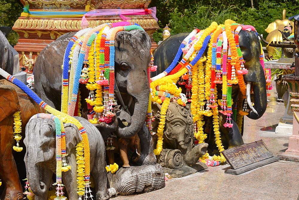 Garlanded elephants at a scenic spot in Phuket, Thailand, Southeast Asia, Asia 