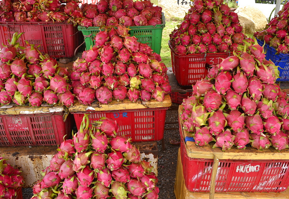 Dragon Fruit, Vietnam, Indochina, Southeast Asia, Asia