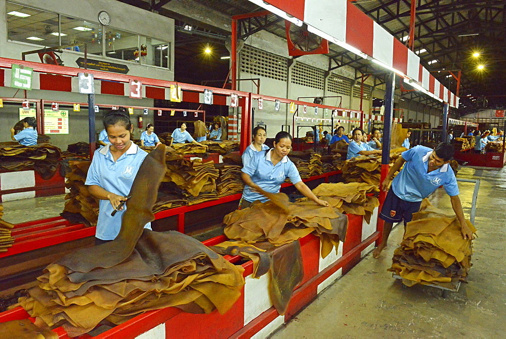 Rubber processing plant, Trang, Thailand, Southeast Asia, Asia