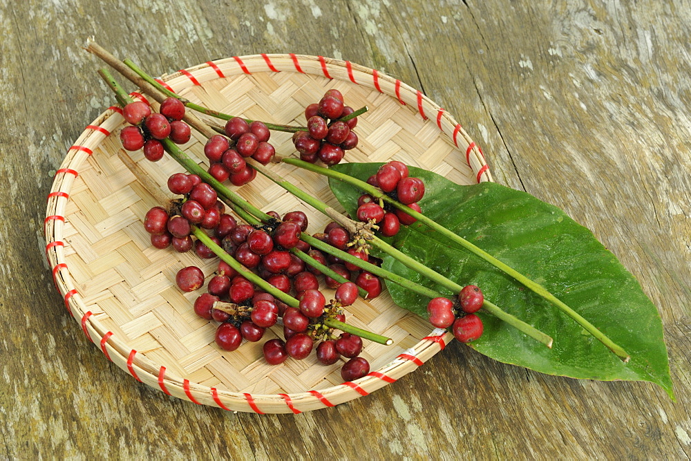 Coffee, Bali, Indonesia, Southeast Asia, Asia