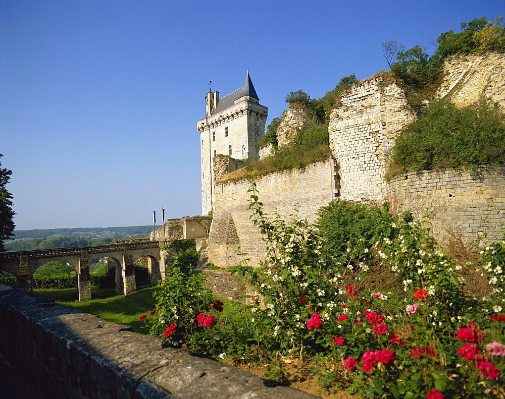 Chateau de Chinon, Indre-et-Loire, Loire Valley, France, Europe