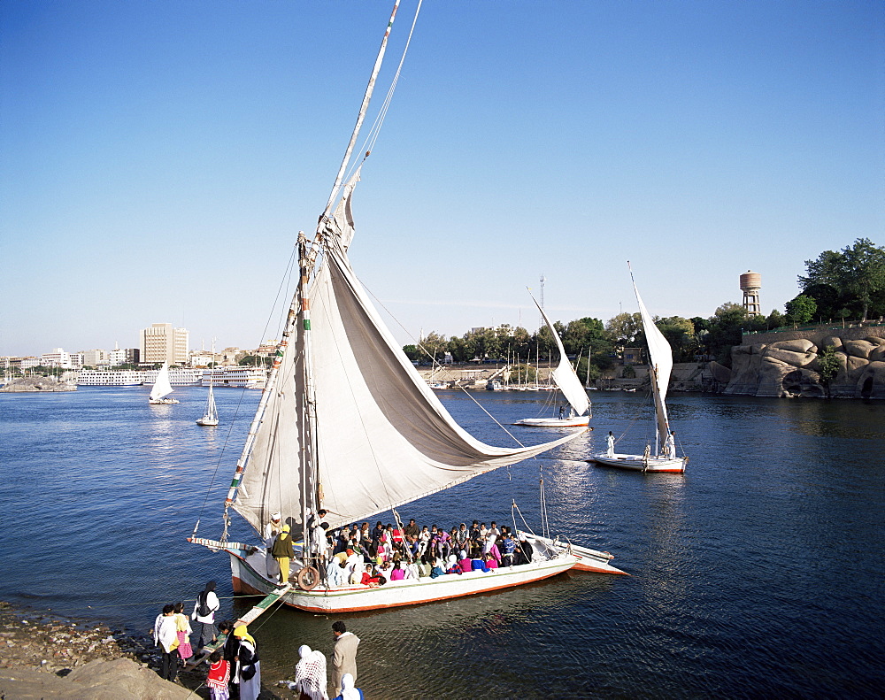 Feluccas on the River Nile, Aswan, Egypt, North Africa, Africa