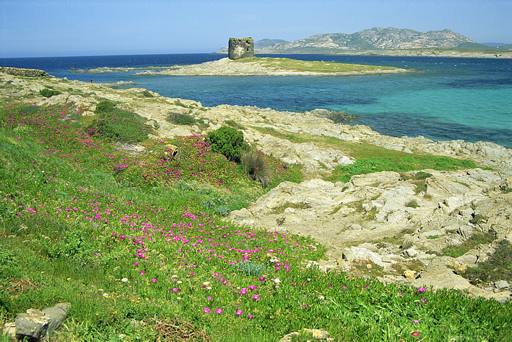 Rocky coast and Pelosa tower in the Fornelli inlet on the island of Sardinia, Italy, Mediterranean, Europe