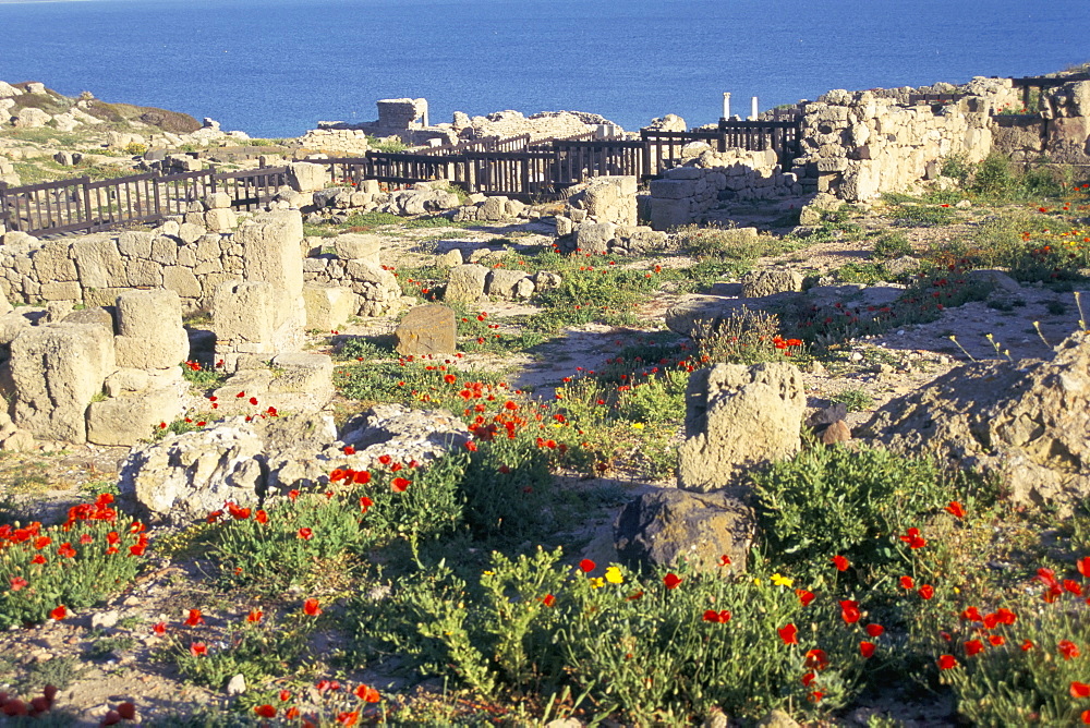 Punic and Roman ruins of city founded by Phoenicians in 730BC, Tharros, island of Sardinia, Italy, Mediterranean, Europe