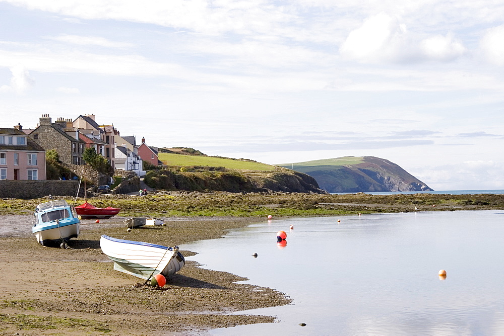 Parrog beach and the Pembrokeshire Coast Path, Newport, Pembrokeshire, Wales, United Kingdom, Europe