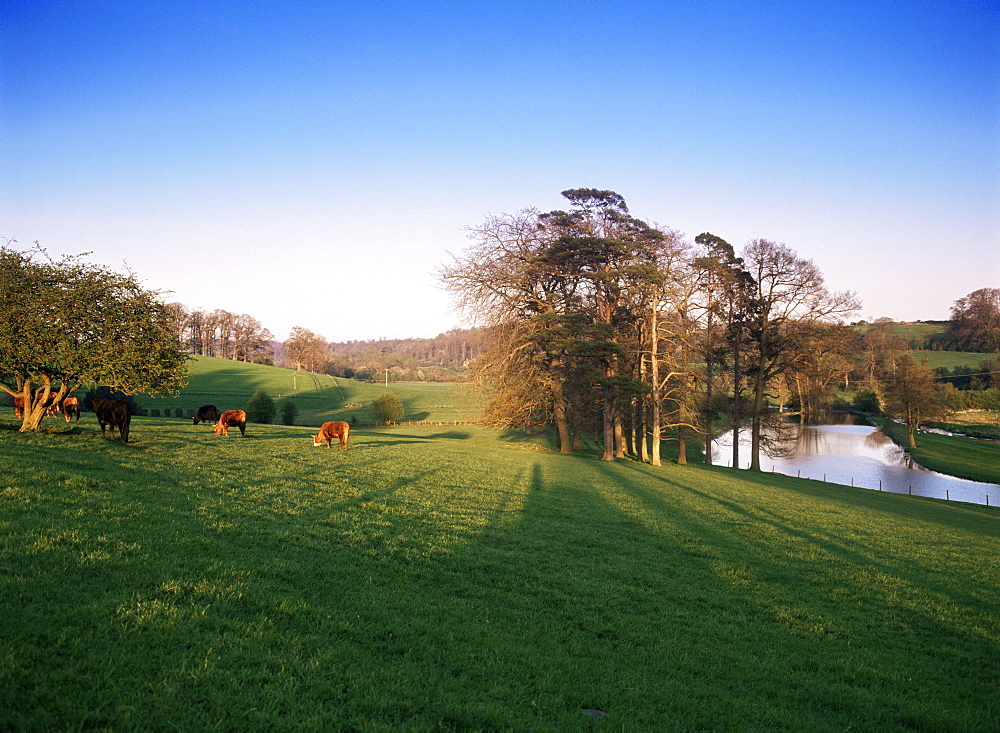 River Chess from the grounds of Latimer House, Latimer, Buckinghamshire, England, United Kingdom, Europe