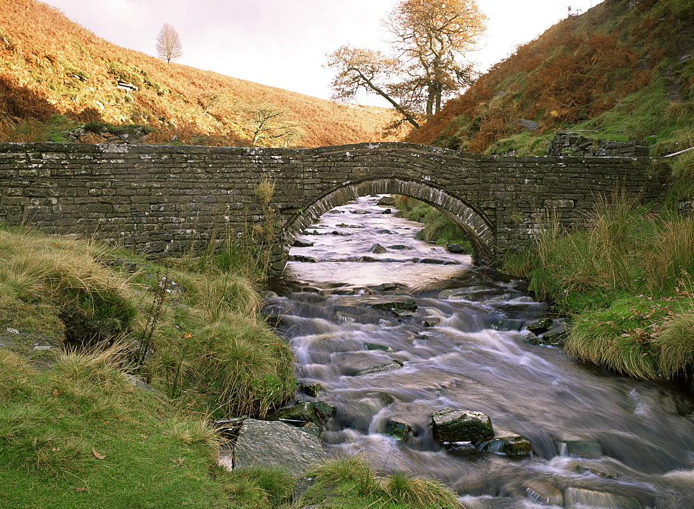 Goyt Valley, Peak District National Park, Derbyshire, England, United Kingdom, Europe