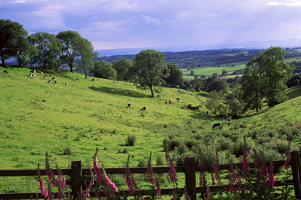 View from Windmill Hill, Waseley Country Park near Rubery, Chapmans Hill, Hereford & Worcester, England, United Kingdom, Europe