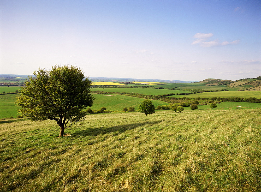 Ivinghoe Beacon from the Ridgeway Path, Chiltern Hills, Buckinghamshire, England, United Kingdom, Europe