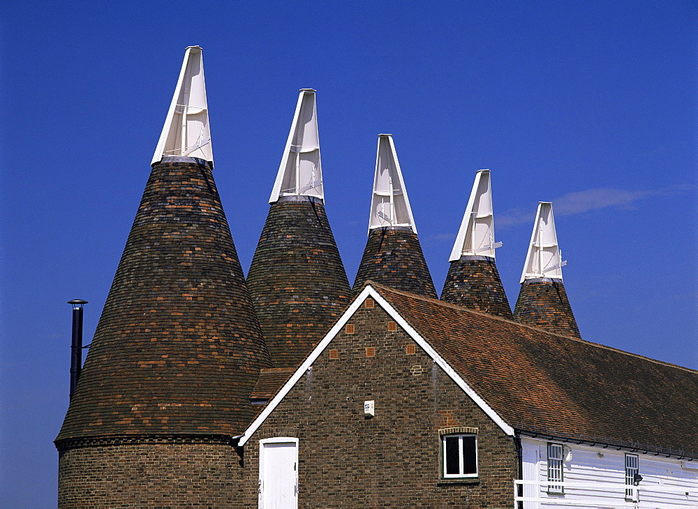 Oast houses, Whitbread Hop Farm, Beltring, Kent, England, United Kingdom, Europe