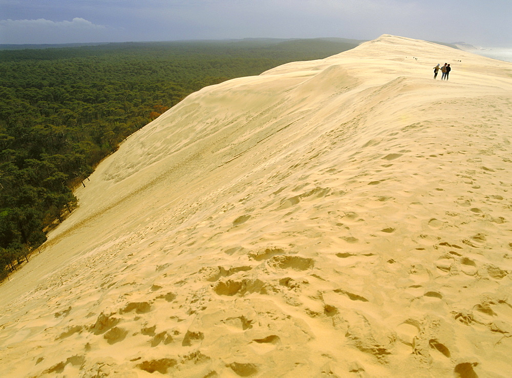 Dune du Pilat, Gironde, Aquitaine, France, Europe