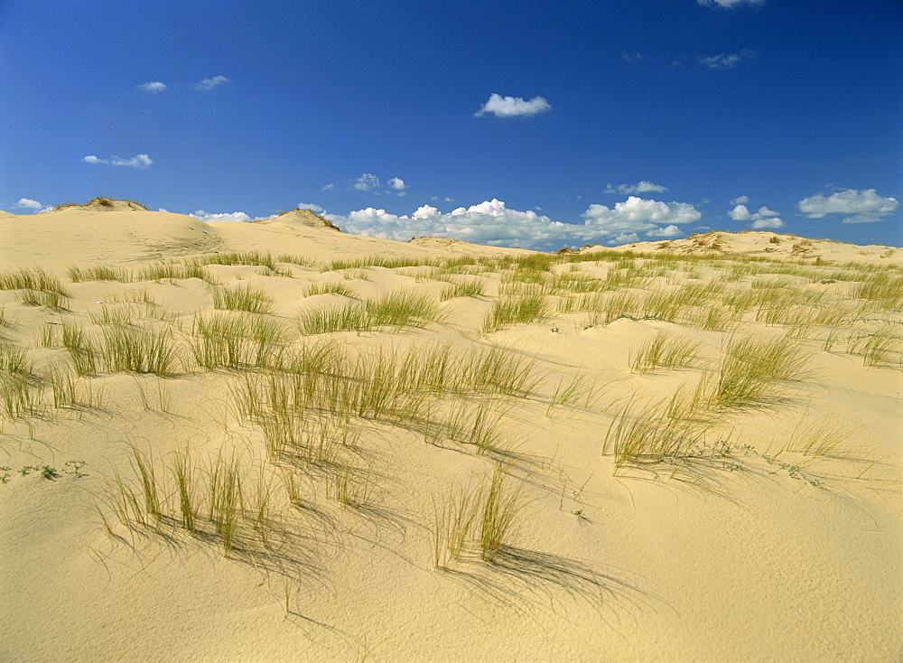 Landscape of sand and grass at Pointe de la Coubre near Royan in the Charente-Maritime, Poitou Charentes, France, Europe