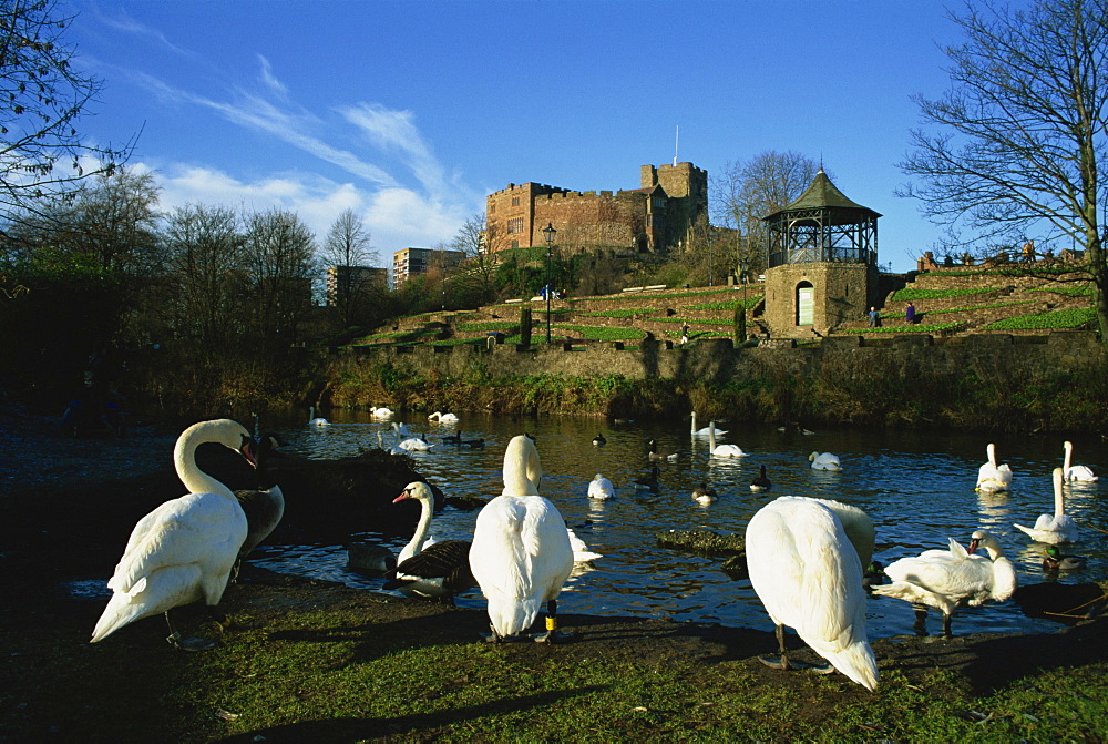 Castle and River Teme, Tamworth, Staffordshire, England, United Kingdom, Europe