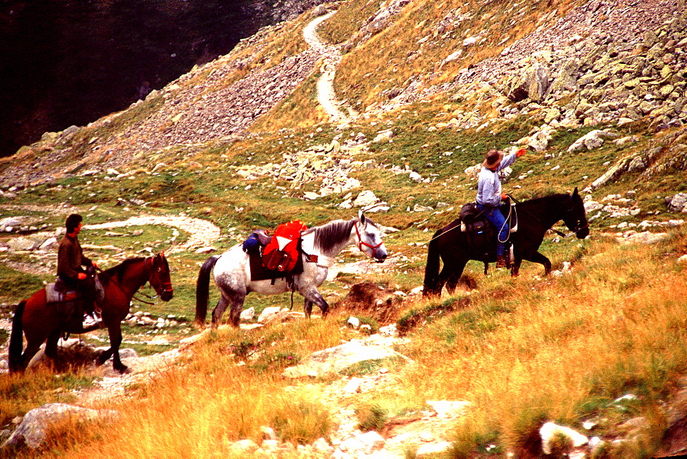 Pony trekking, Mercantor National Park, Haute-Alpes, France