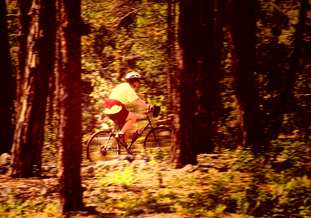 A mountainbiker, Haute-Alpes Nr Briancon, France