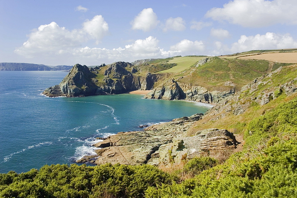 Gammon Head, Prawle Point, Devon Coast Path, South Hams, Devon, England, United Kingdom, Europe