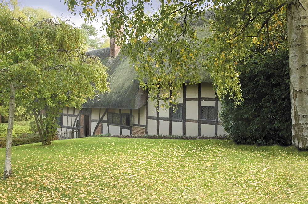 Anne Hathaway's cottage (William Shakespeare's wife), Shottery, Stratford upon Avon, Warwickshire, Midlands, England, United Kingdom, Europe