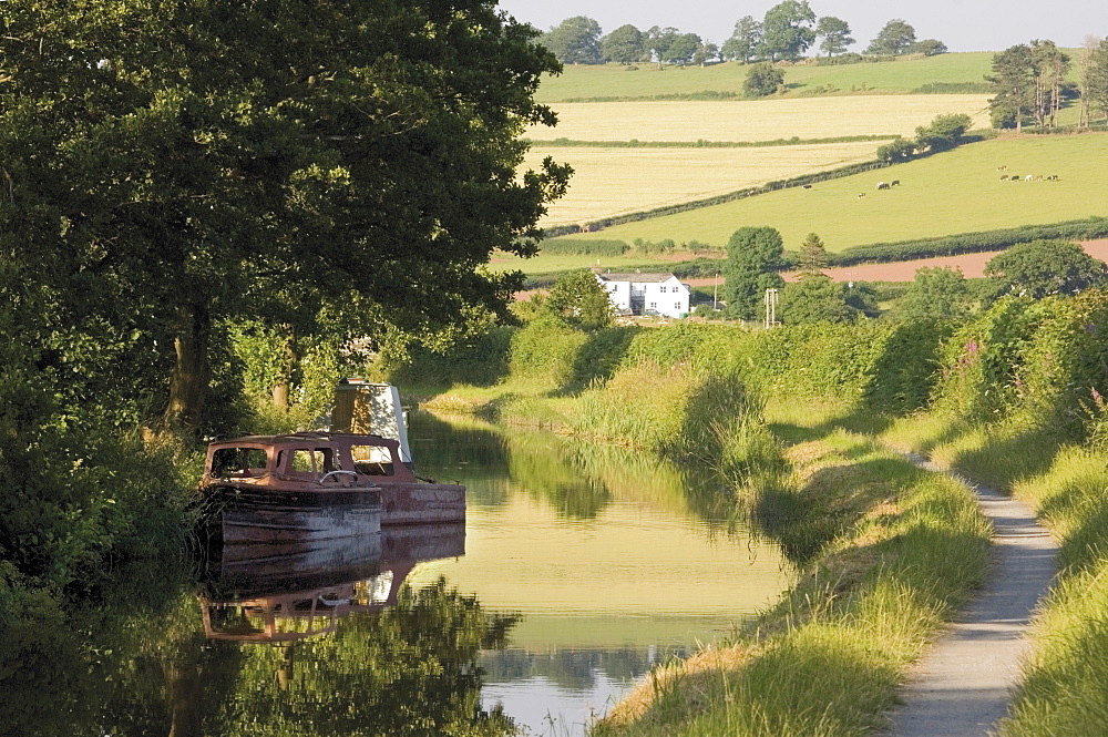 Towpath, Monmouth and Brecon canal, Tal y Bont, Powys, mid-Wales, Wales, United Kingdom, Europe