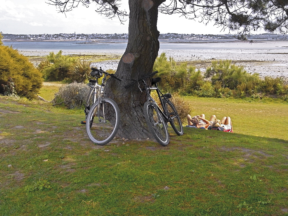 Bicycles by tree and couple relaxing on the grass, St. Pol de Leon, Carentac in distance, Finistere, Brittany, France, Europe