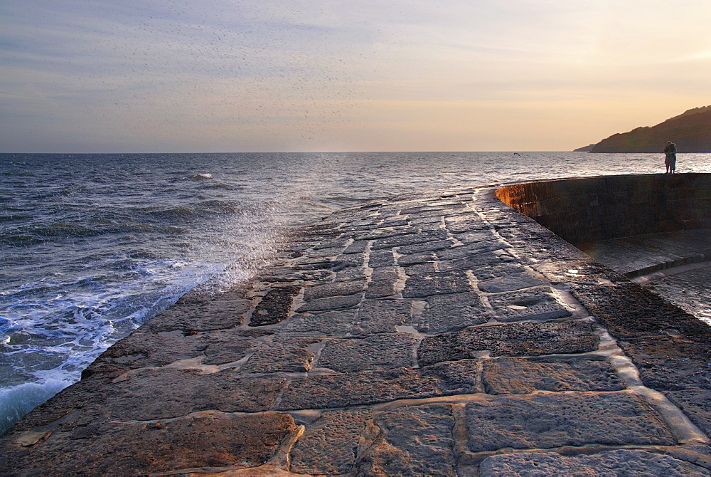 The Cobb harbour wall, Lyme Regis, Dorset, England, United Kingdom, Europe