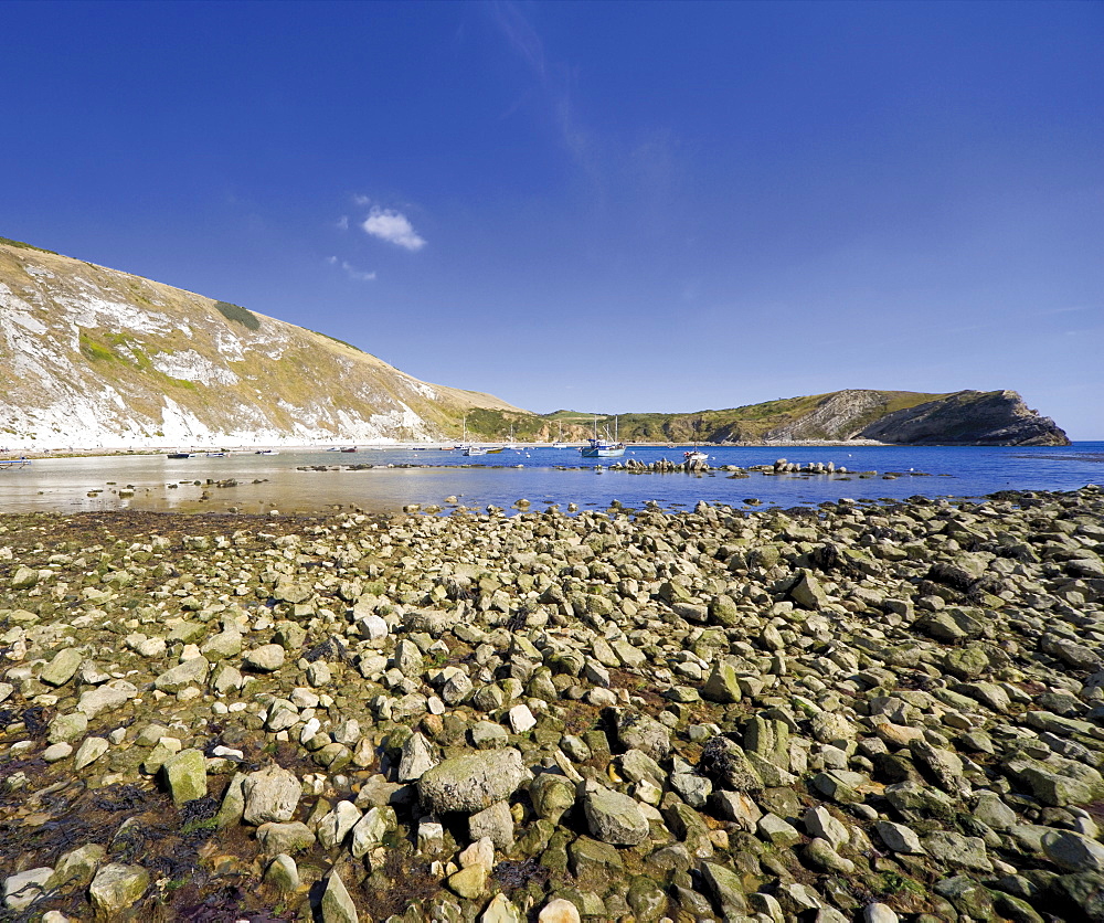 Lulworth Cove, Dorset, England, United Kingdom, Europe