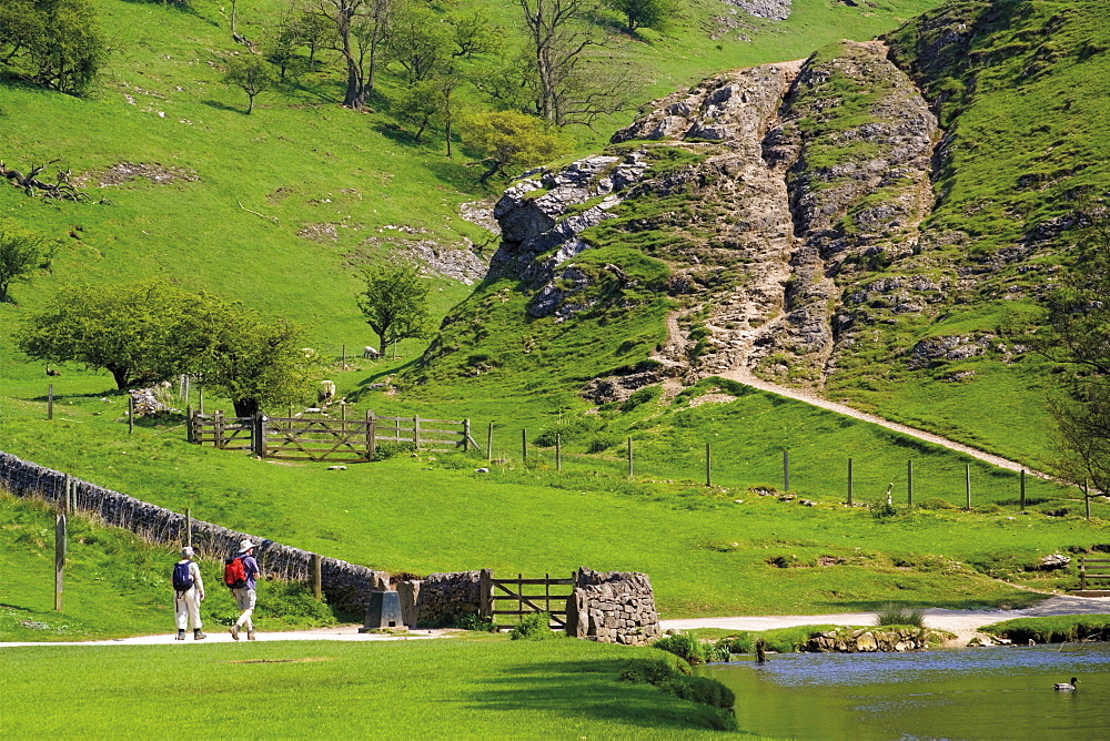 Dovedale, valley of the River Dove, Peak District National Park, border of Staffordshire and Derbyshire, England, Great Britain, United Kingdom, Europe