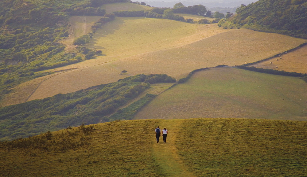 Dorset Coast Path to Thornecombe Beacon, Eype Mouth, Jurassic Coast, Bridport, Dorset, England, United Kingdom, Europe