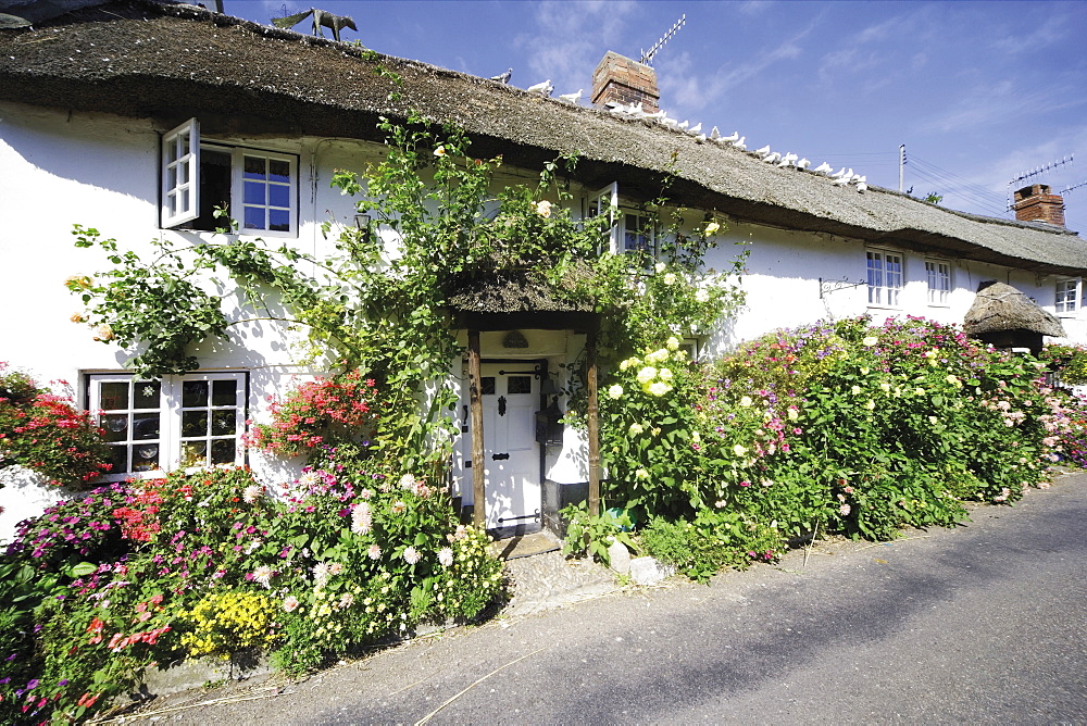 Branscombe village, Devon, England, United Kingdom, Europe