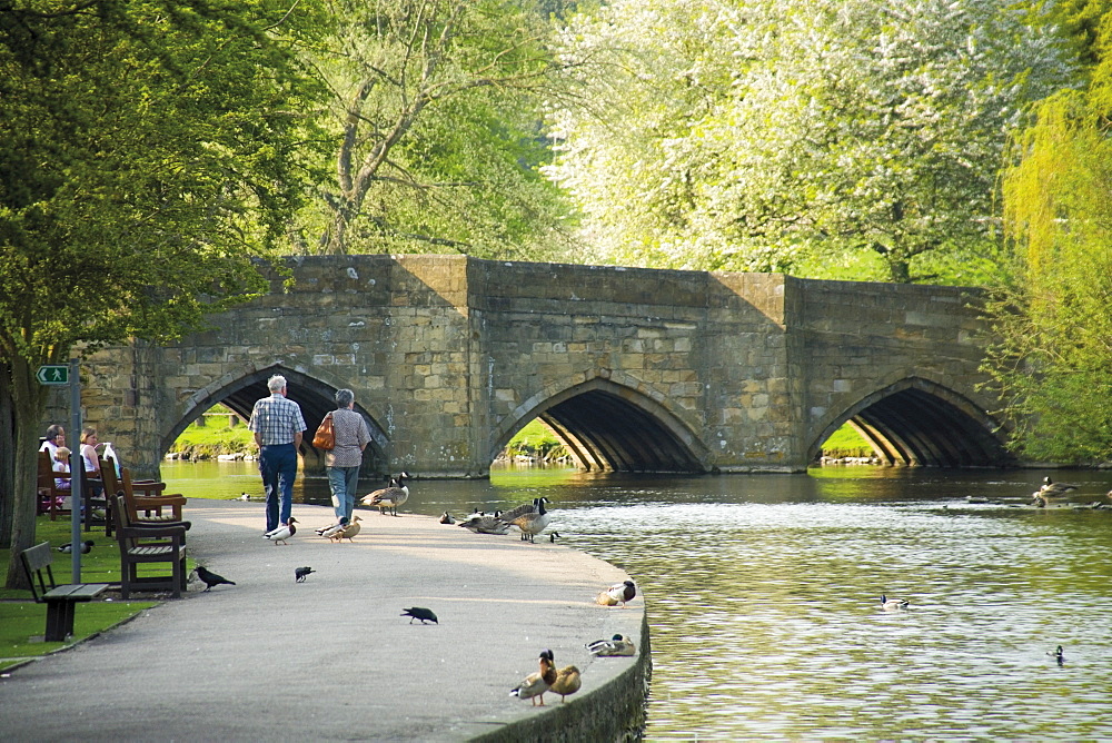 Medieval bridge over the River Wye, Bakewell, Derbyshire, Peak District National Park, England, United Kingdom, Europe