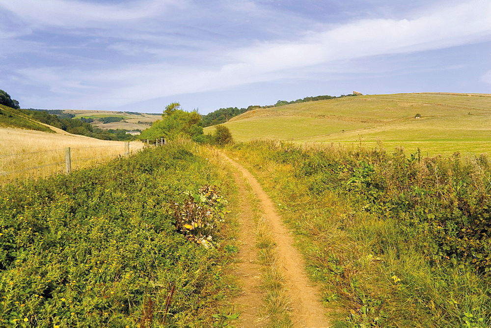 Abbotsbury village, Dorset, England, United Kingdom, Europe