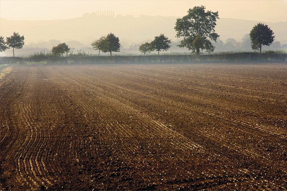 Farmland in autumn, from the Cotswold Way footpath, Stanway village, Cotswolds, Gloucstershire, England, United Kingdom, Europe