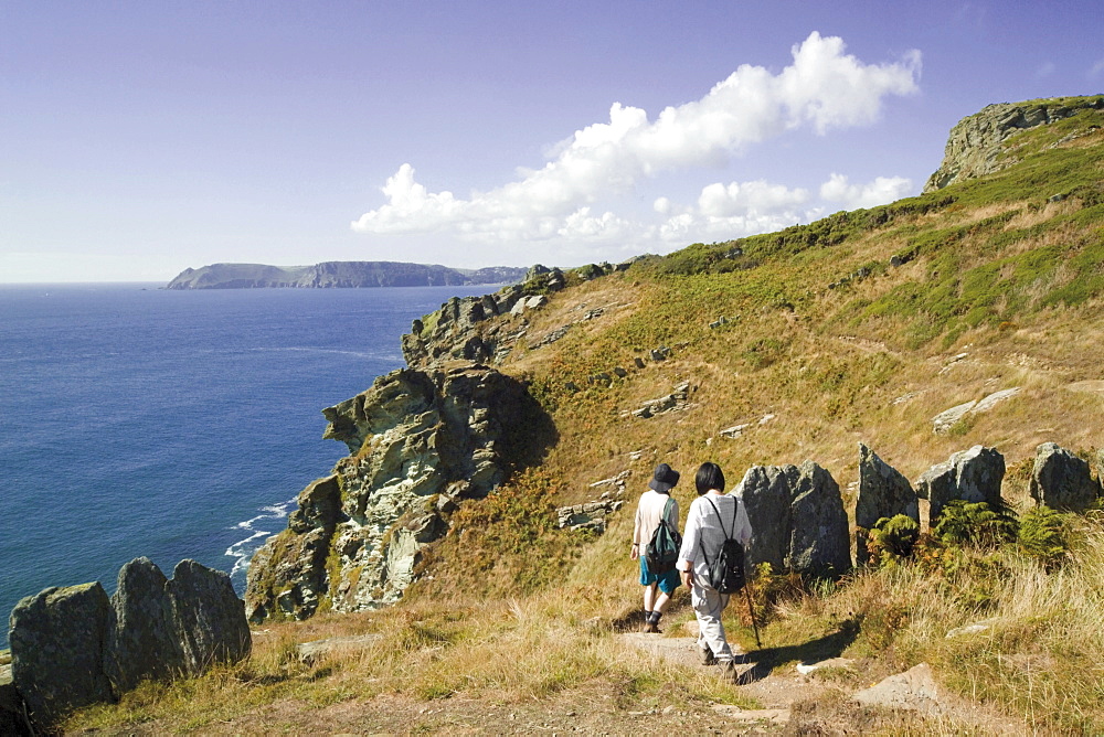 Walkers on the South West Devon Coast path, on National Trust land at Prawle Point, South Hams, Devon, England, United Kingdom, Europe