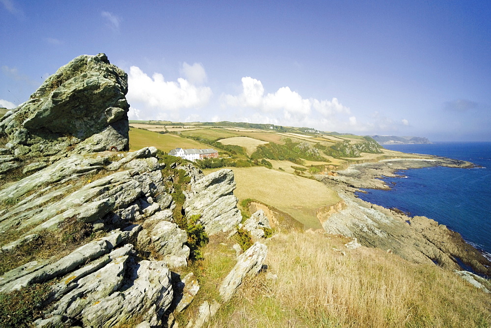 South West Devon Coast path, National Trust land at Prawle Point, South Hams, Devon, England, United Kingdom, Europe