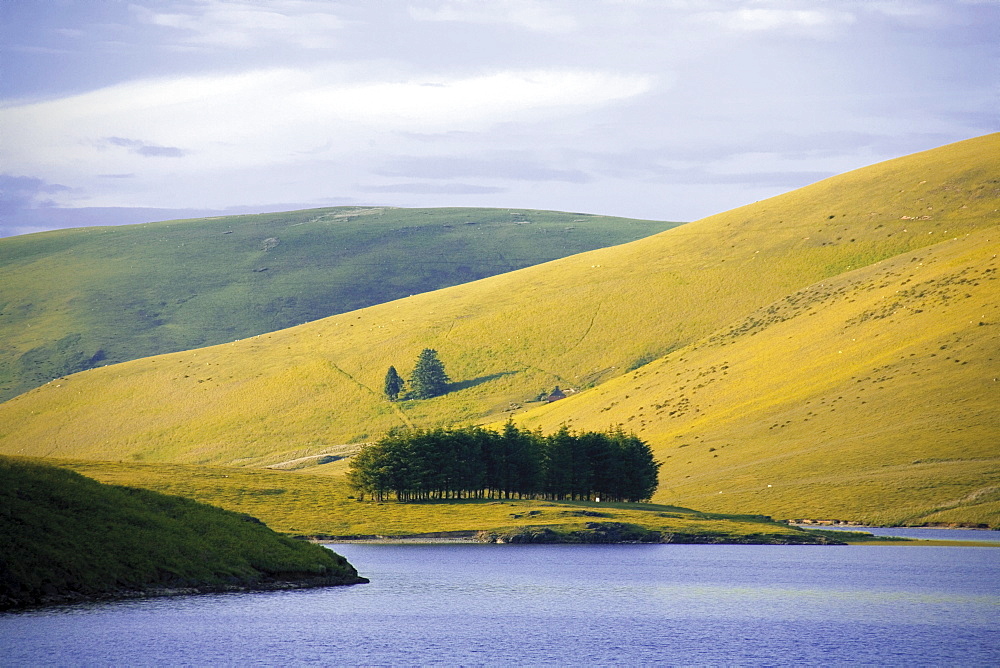 The Elan Valley, site of reservoirs providing water for Birmingham, Powys, Wales, United Kingdom, Europe