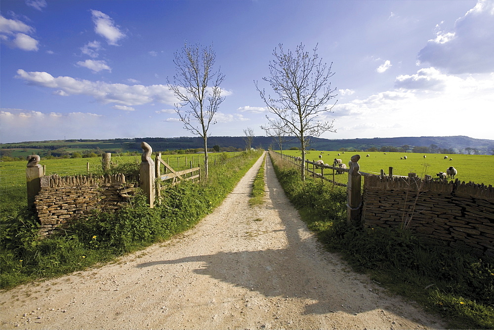 View from the Cotswold Way Footpath, Cotswolds, Gloucestershire, England, United Kingdom, Europe