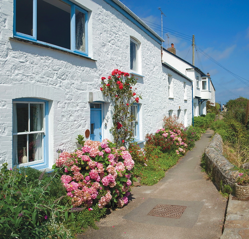 Coverack, Cornwall, England, United Kingdom, Europe