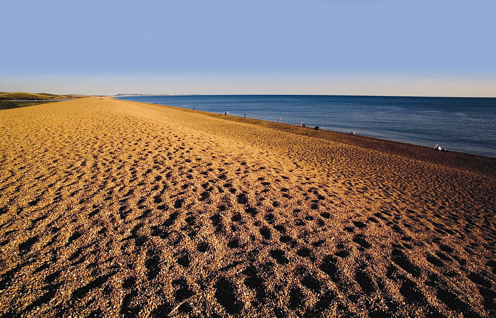 Chesil Beach, Dorset, England, United Kingdom, Europe